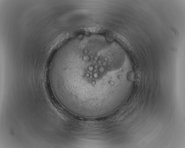 X0000115180738200911121800