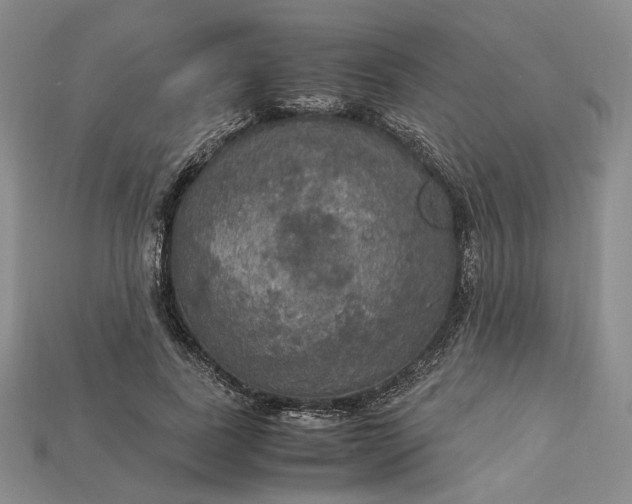 X0000115180739200911121800
