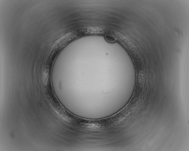 X0000115180741200911121800