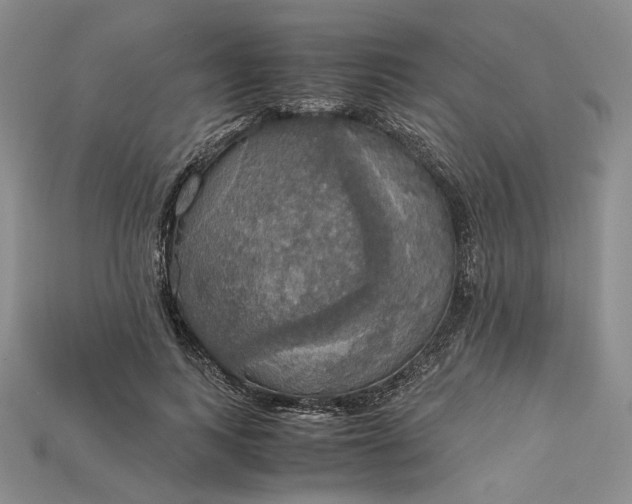 X0000115180743200911121800