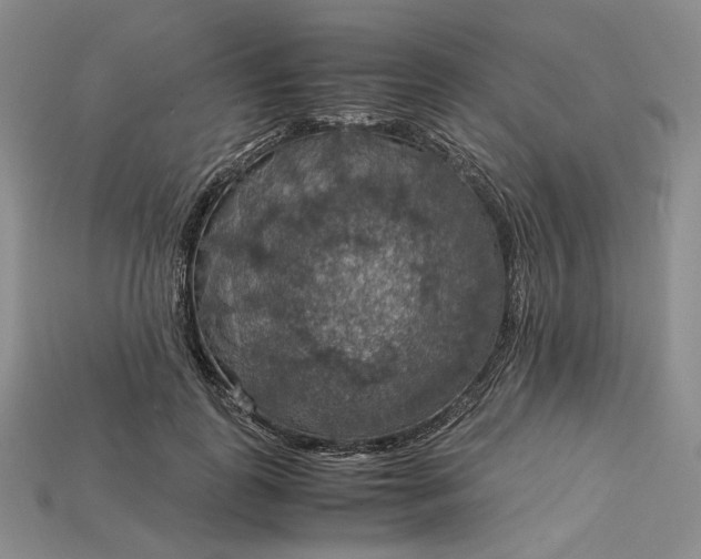 X0000115180747200911121800