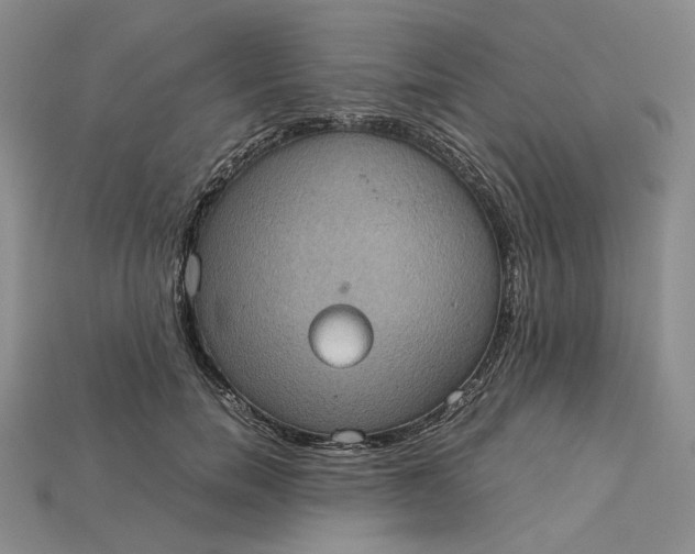 X0000115180750200911121800
