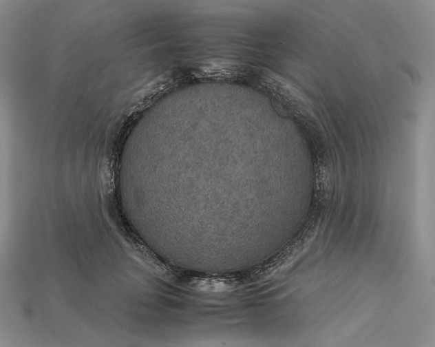 X0000115180751200911121800
