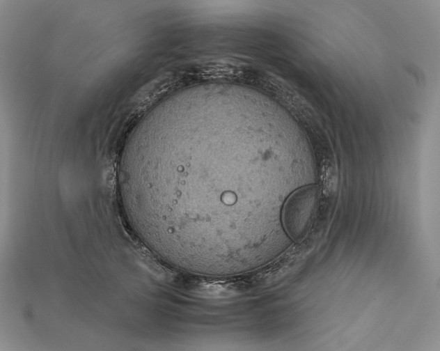 X0000115180753200911121800
