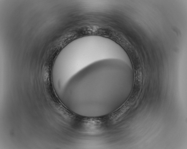 X0000115180754200911121800