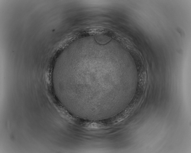 X0000115180755200911121800