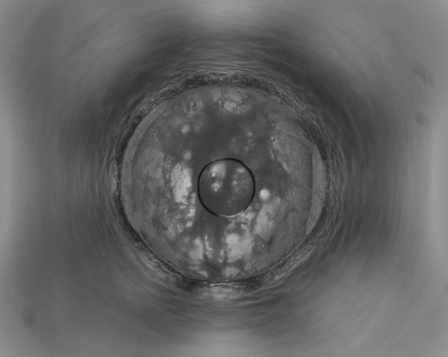 X0000115180758200911121800