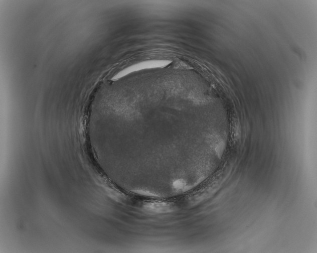 X0000115180759200911121800