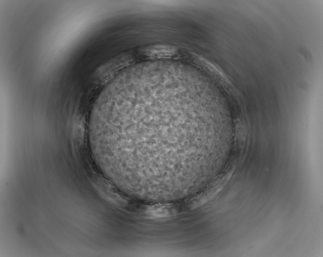 X0000115180761200911121800