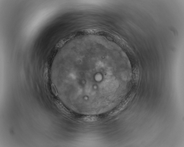 X0000115180762200911121800
