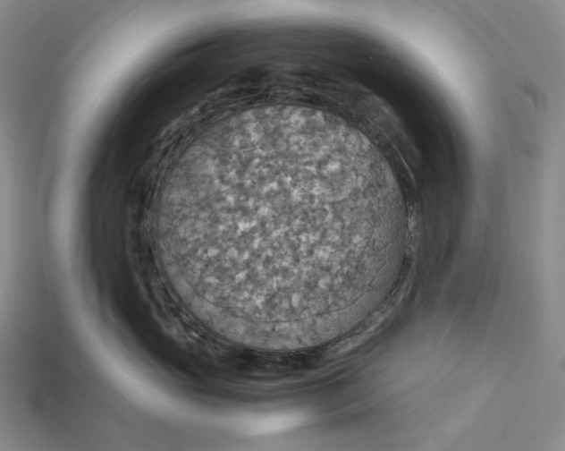 X0000115180765200911121800