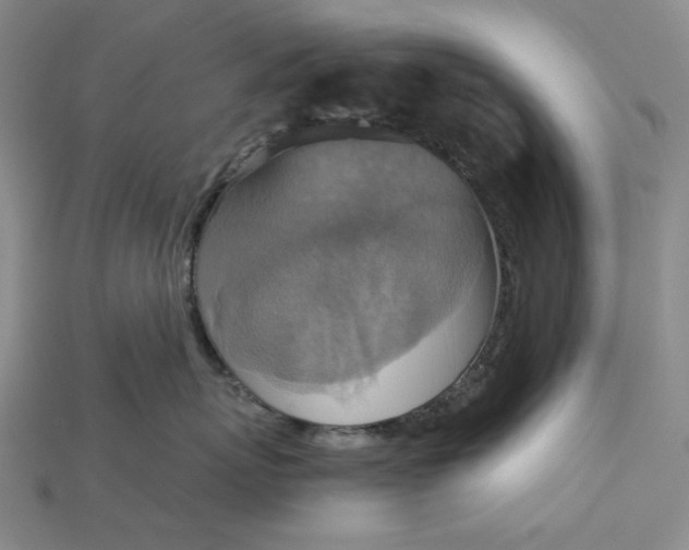 X0000115180767200911121800