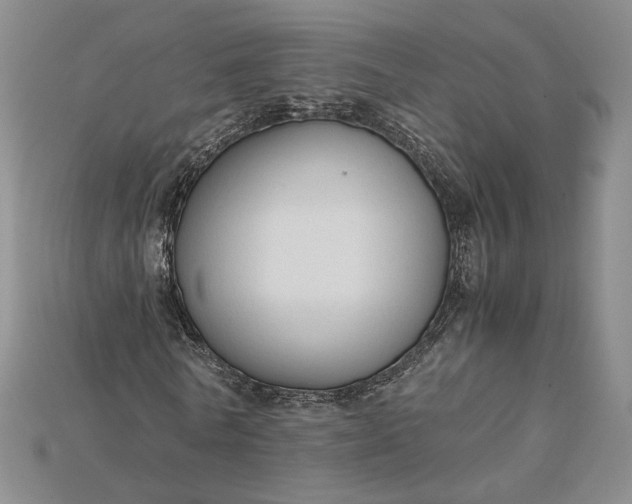 X0000115180770200911121800