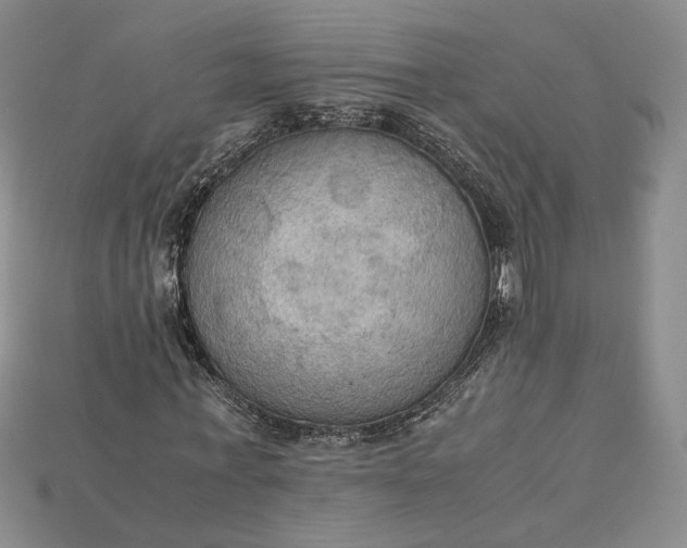 X0000115180771200911121800