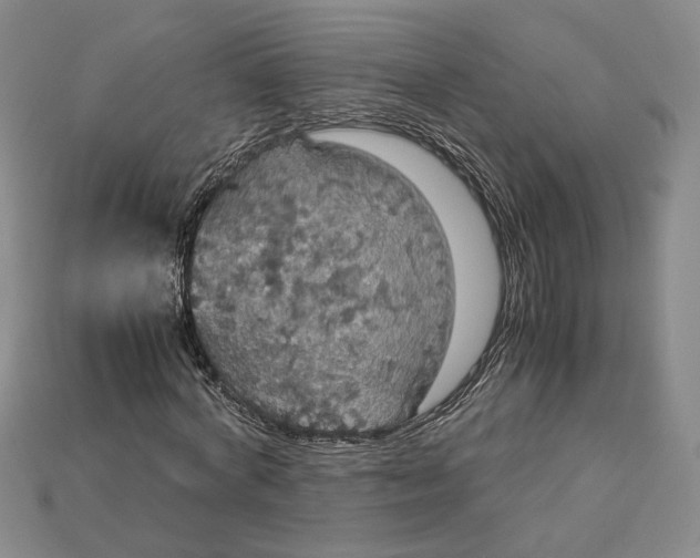 X0000115180772200911121800