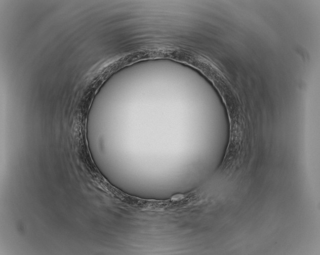 X0000115180773200911121800