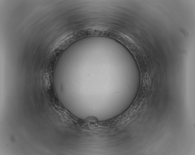 X0000115180774200911121800