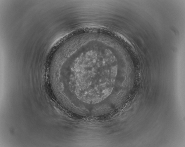 X0000115180775200911121800