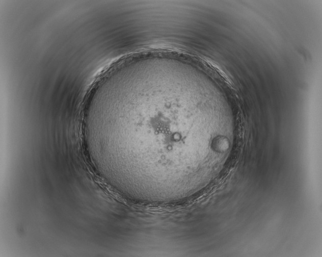 X0000115180776200911121800