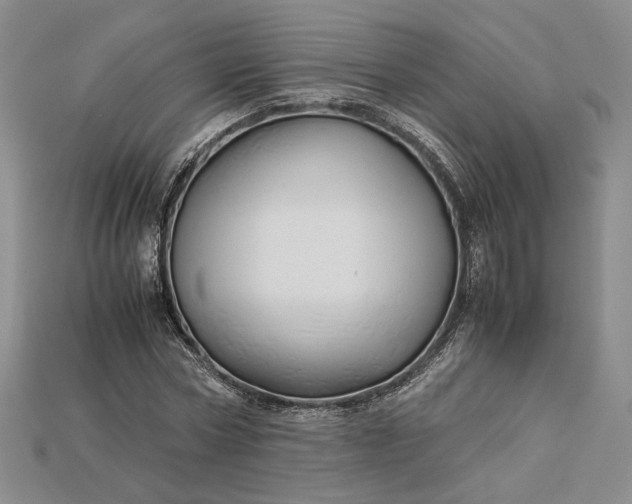 X0000115180778200911121800