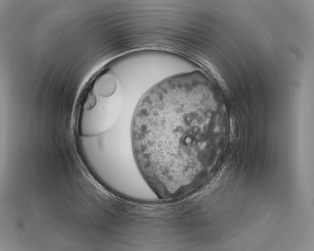 X0000115180780200911121800