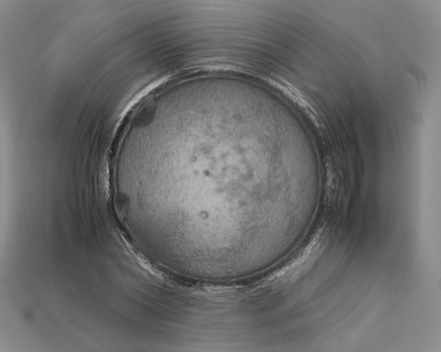 X0000115180782200911121800