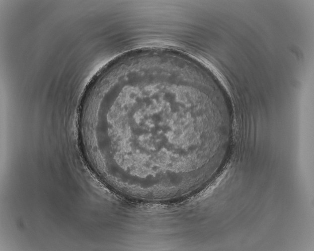 X0000115180783200911121800