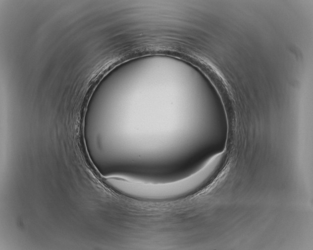 X0000115180785200911121800
