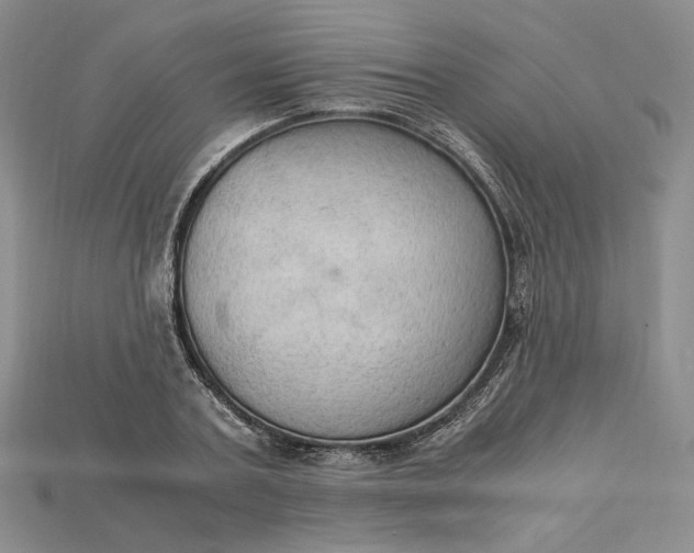 X0000115180787200911121759