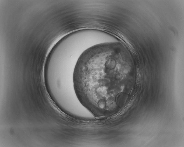 X0000115180788200911121759