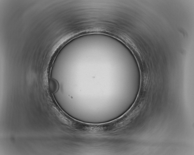 X0000115180789200911121759