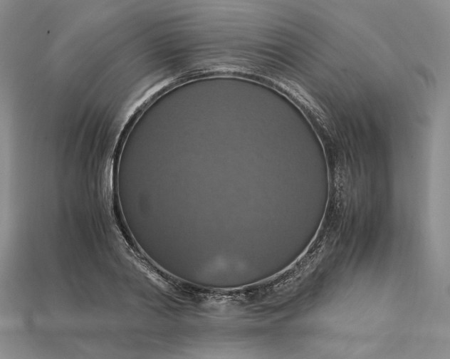 X0000115180790200911121759