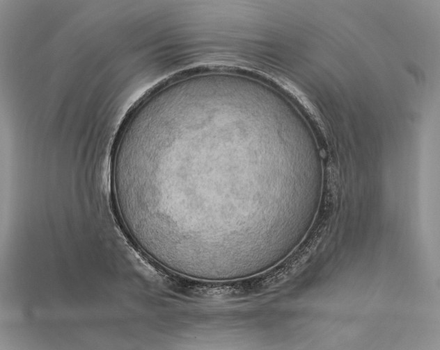 X0000115180791200911121759