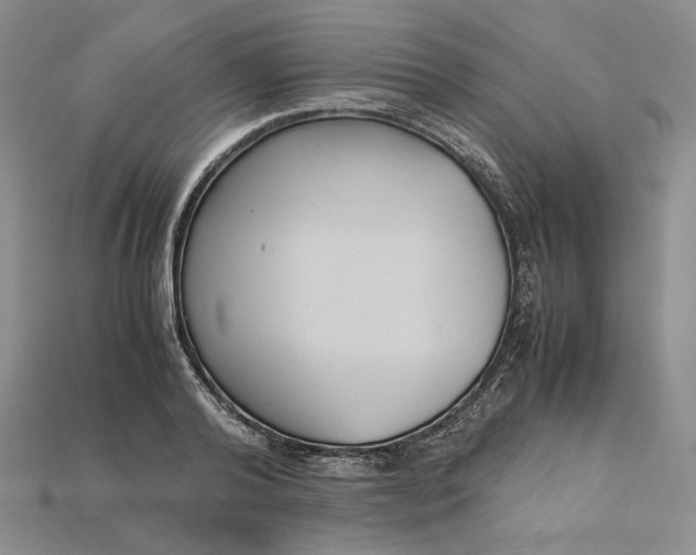 X0000115180792200911121759