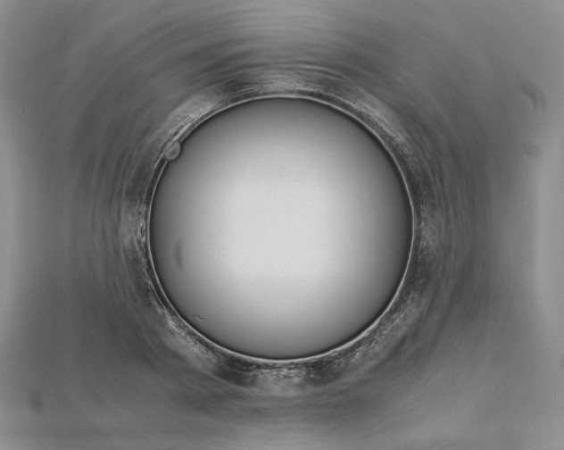 X0000115180793200911121759