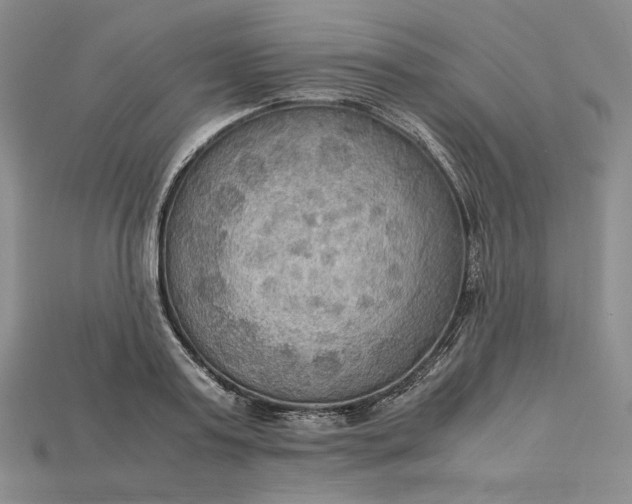 X0000115180795200911121759
