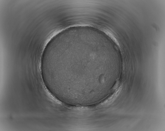 X0000115180797200911121759