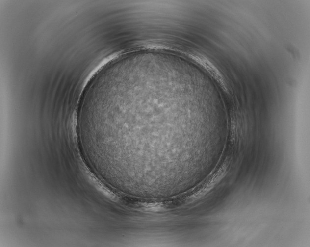 X0000115180798200911121759