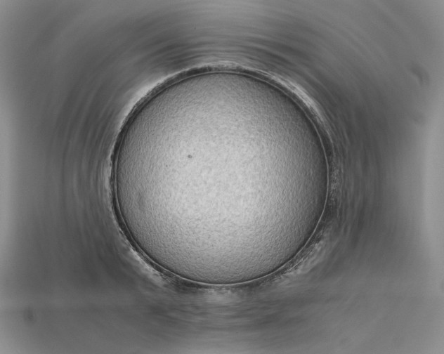X0000115180799200911121759