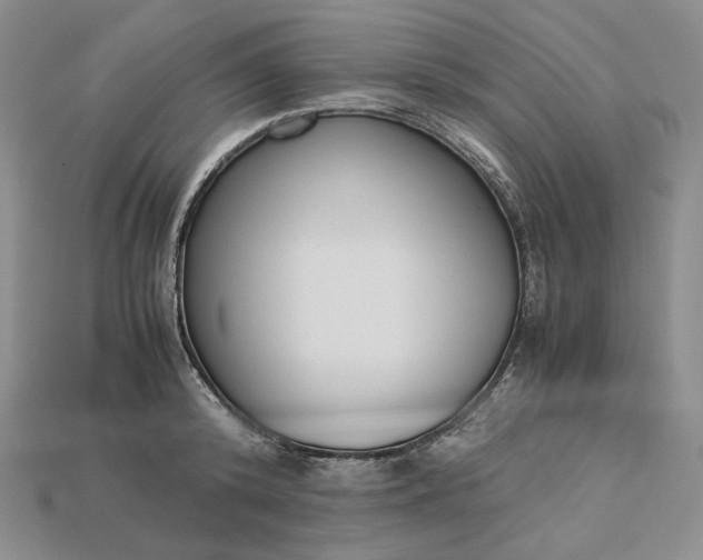 X0000115180800200911121759
