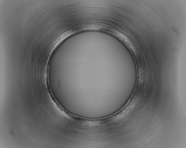 X0000115180802200911121759
