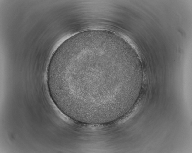 X0000115180803200911121759