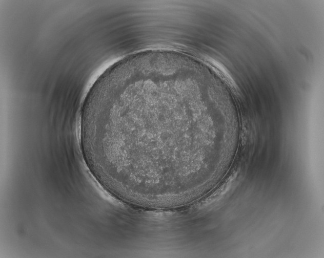 X0000115180804200911121759