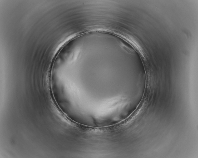 X0000115180806200911121759