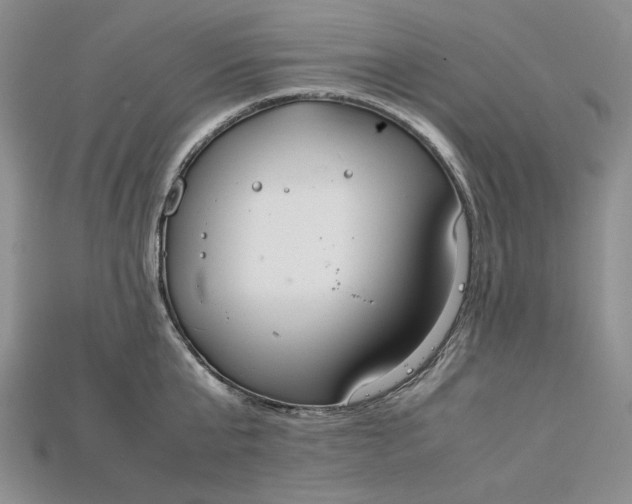 X0000115180807200911121759