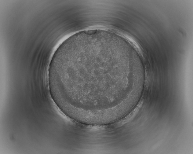 X0000115180808200911121759