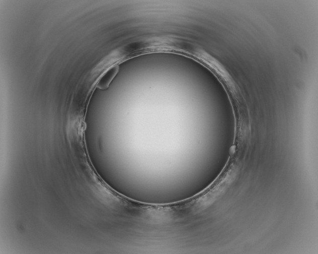 X0000115180809200911121759