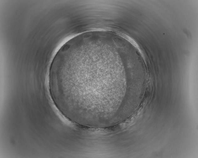 X0000115180811200911121759