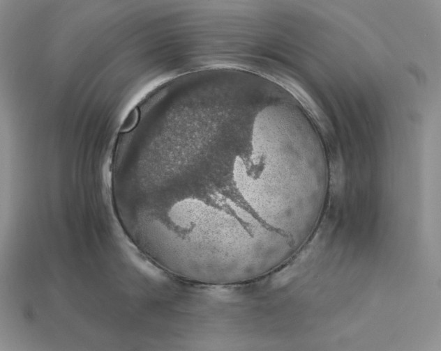 X0000115180814200911121759