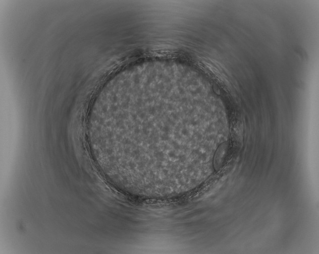 X0000115180817200911121758